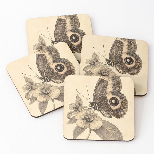 Item preview, Borboleta-Coruja — Gravura Botânica Vintage | Atlantic Forest designed and sold by AtlanticForest.