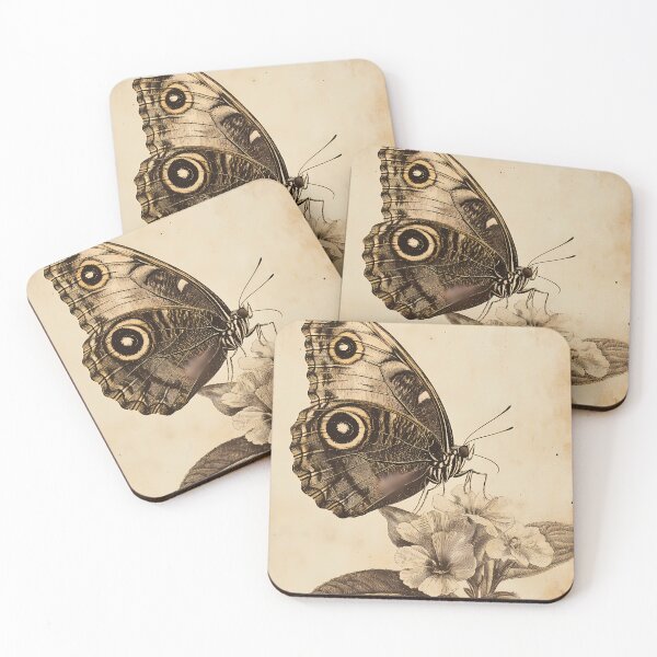 Item preview, Borboleta-Coruja — Ilustração Científica Vintage | Atlantic Forest designed and sold by AtlanticForest.