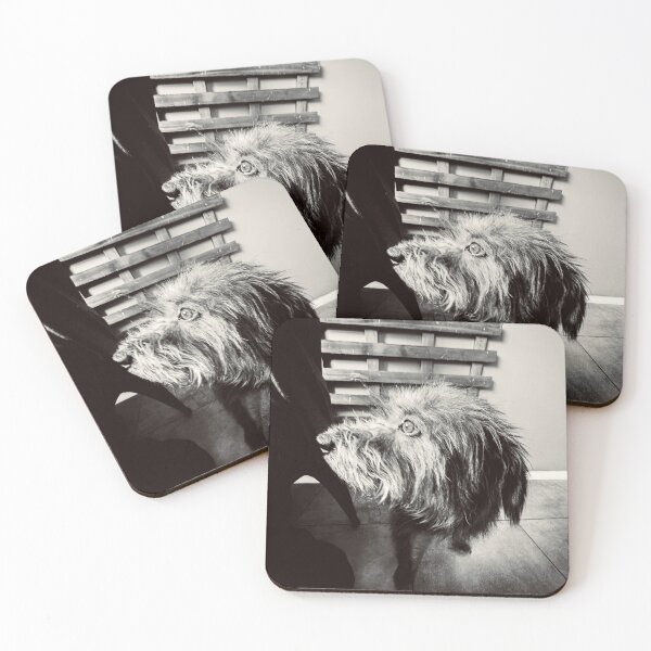 Item preview, Shaggy Dog designed and sold by Javier Narváez Solarte.