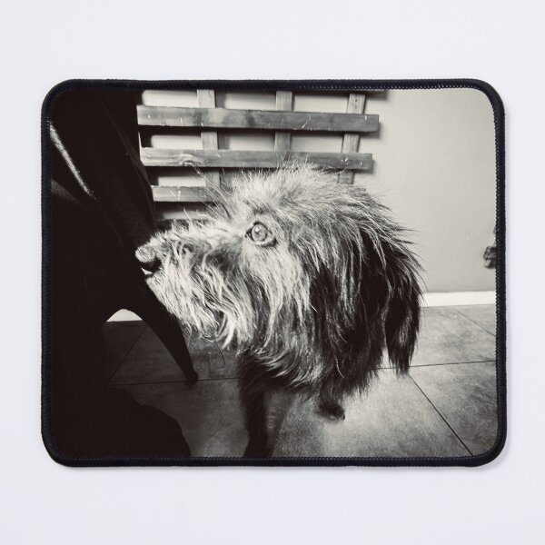 Item preview, Shaggy Dog designed and sold by Javier Narváez Solarte.