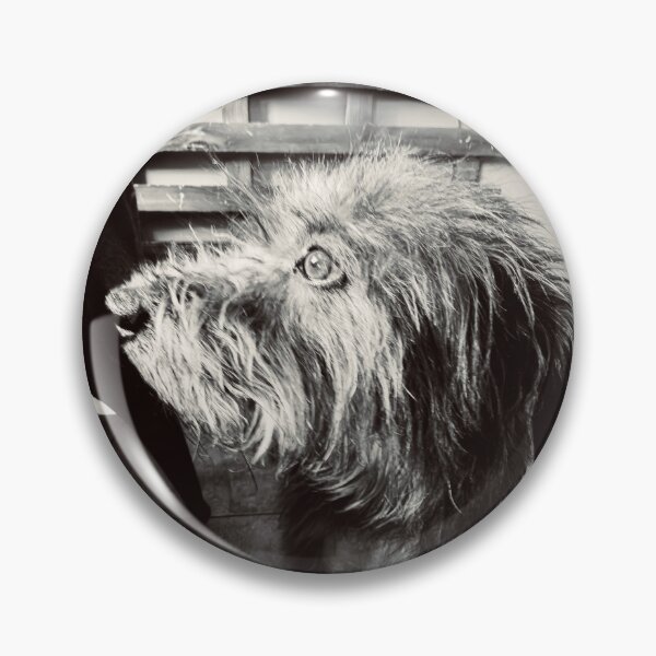 Item preview, Shaggy Dog designed and sold by Javier Narváez Solarte.