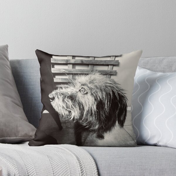 Item preview, Shaggy Dog designed and sold by Javier Narváez Solarte.