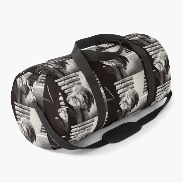 Item preview, Shaggy Dog designed and sold by Javier Narváez Solarte.