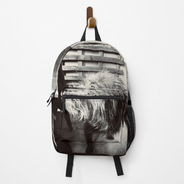 Item preview, Shaggy Dog designed and sold by Javier Narváez Solarte.