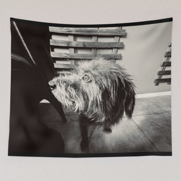 Item preview, Shaggy Dog designed and sold by Javier Narváez Solarte.