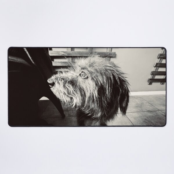 Item preview, Shaggy Dog designed and sold by Javier Narváez Solarte.