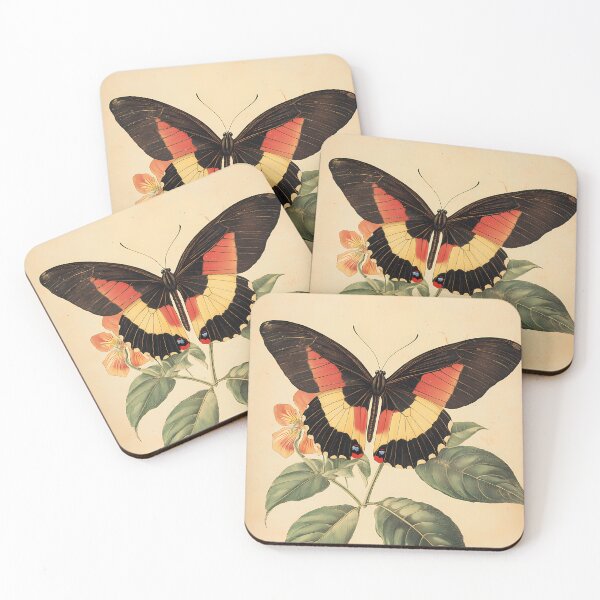 Item preview, Borboleta-do-Maracujá — Ilustração Científica Vintage | Atlantic Forest designed and sold by AtlanticForest.