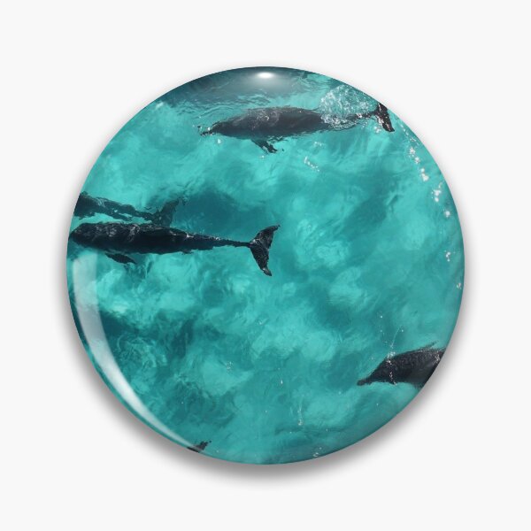 Item preview, Dolphins of Sleaford Bay designed and sold by Images-on-Eyre.