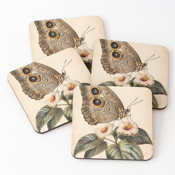Item preview, Borboleta-Coruja-Grande — Gravura Botânica Vintage | Atlantic Forest designed and sold by AtlanticForest.
