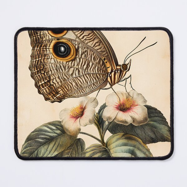 Item preview, Borboleta-Coruja-Grande — Gravura Botânica Vintage | Atlantic Forest designed and sold by AtlanticForest.