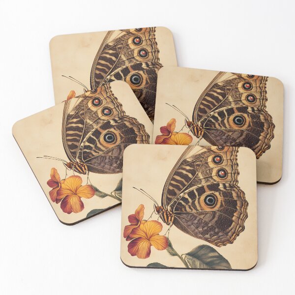 Item preview, Borboleta-Coruja-Grande — Ilustração Científica Vintage | Atlantic Forest designed and sold by AtlanticForest.