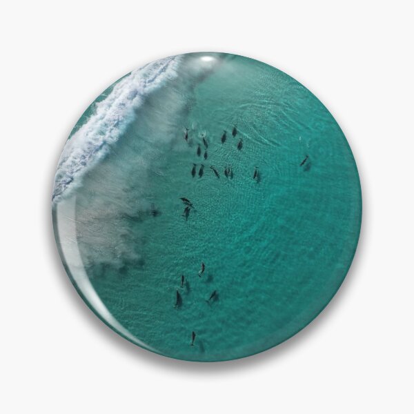 Item preview, Sleaford Bay Dolphin Encounter designed and sold by Images-on-Eyre.