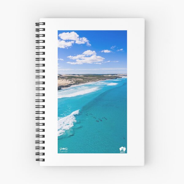Item preview, Dolphins Along Sleaford Bay Coastline designed and sold by Images-on-Eyre.