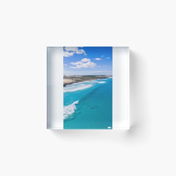 Item preview, Dolphins Along Sleaford Bay Coastline designed and sold by Images-on-Eyre.