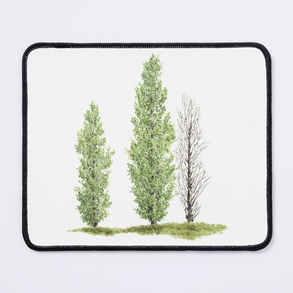 Item preview, January 28th birthday flower Black Poplar designed and sold by birthflower.