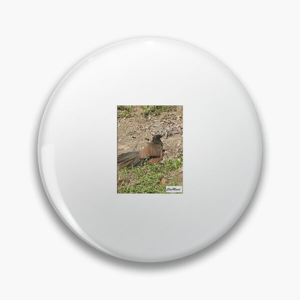 Item preview, ChevMovit Australian Pheasant Coucal designed and sold by ChevMovit.