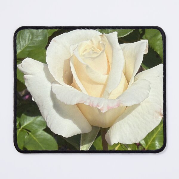 Item preview, Soft Solemnity designed and sold by Terrifically Trish.