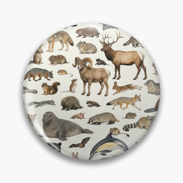 Item preview, Mammals of California Retro Style Identification Chart designed and sold by kakarikihill.