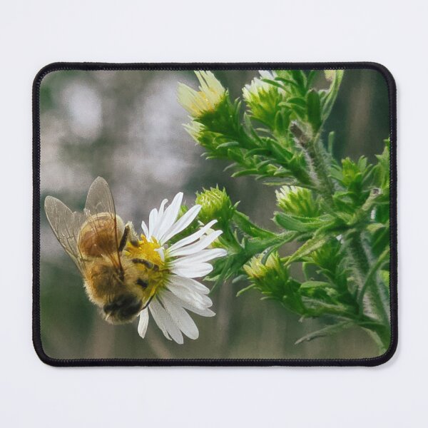 Item preview, Among the Asters No. 10 designed and sold by Feral Vibes.