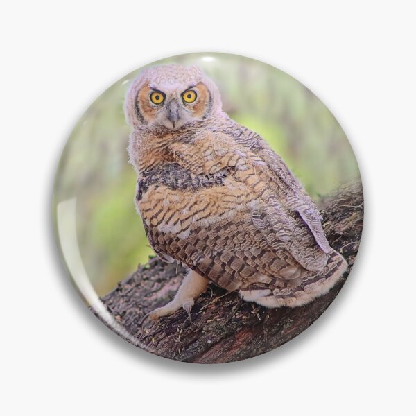 Item preview, Gorgeous Great Horned Owl designed and sold by simonjayphotos.