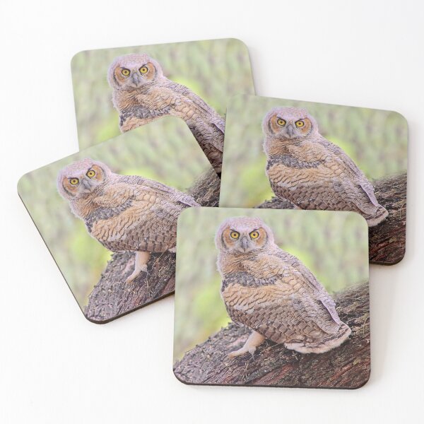 Item preview, Gorgeous Great Horned Owl designed and sold by simonjayphotos.