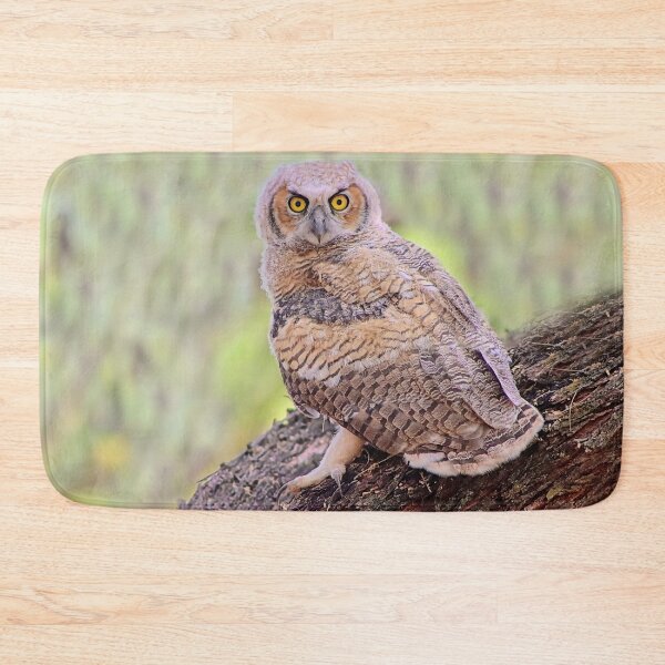 Item preview, Gorgeous Great Horned Owl designed and sold by simonjayphotos.