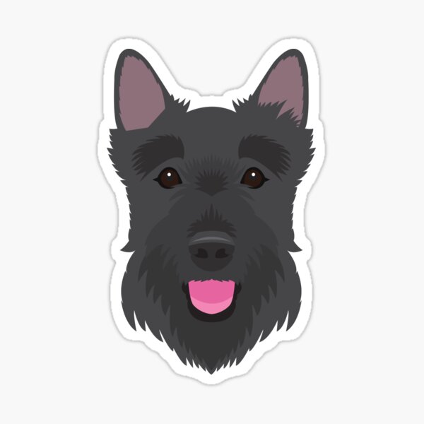 Scottish Terrier Sticker