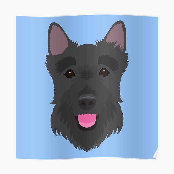 TRAVEL POLICY DOGS RAIL TRAIN SCOTTISH TERRIER SPORT BAG UK ART PRINT B12X3394