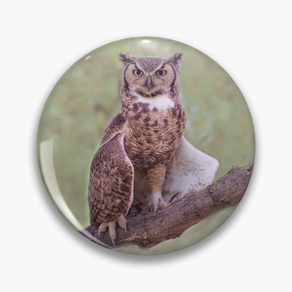 Item preview, Majestic Stunning Great Horned Owl  designed and sold by simonjayphotos.