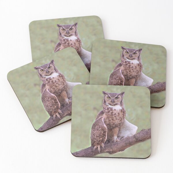Item preview, Majestic Stunning Great Horned Owl  designed and sold by simonjayphotos.