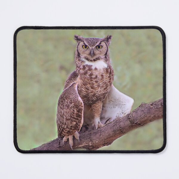 Item preview, Majestic Stunning Great Horned Owl designed and sold by simonjayphotos.