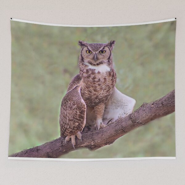 Item preview, Majestic Stunning Great Horned Owl  designed and sold by simonjayphotos.
