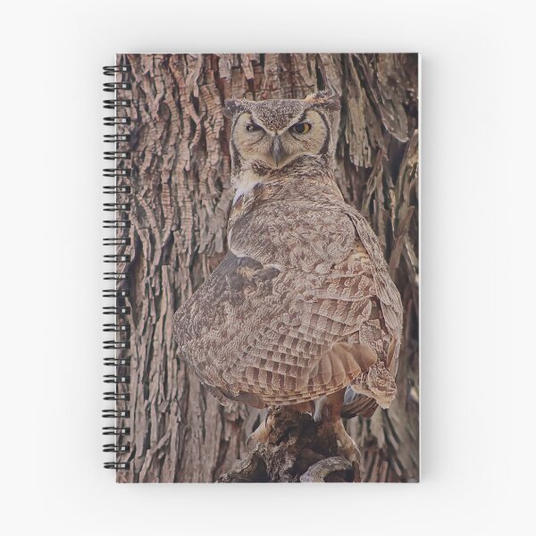 Item preview, Great Horned Owl Head Turned designed and sold by simonjayphotos.