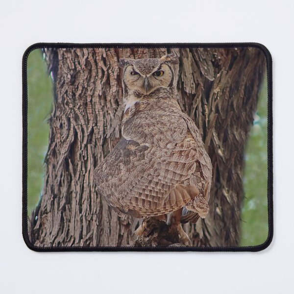 Item preview, Great Horned Owl Head Turned designed and sold by simonjayphotos.