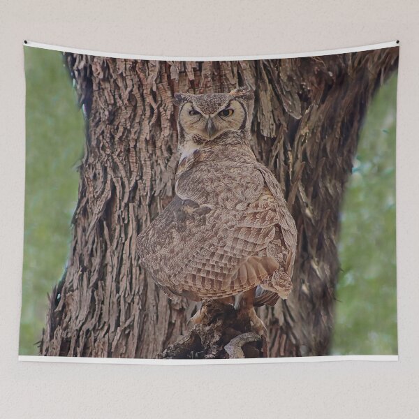 Item preview, Great Horned Owl Head Turned designed and sold by simonjayphotos.
