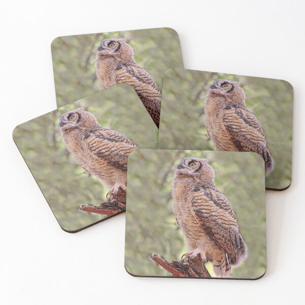 Item preview, Lovely Baby Great Horned Owl designed and sold by simonjayphotos.