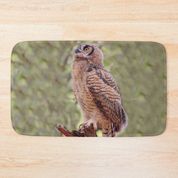 Item preview, Lovely Baby Great Horned Owl designed and sold by simonjayphotos.