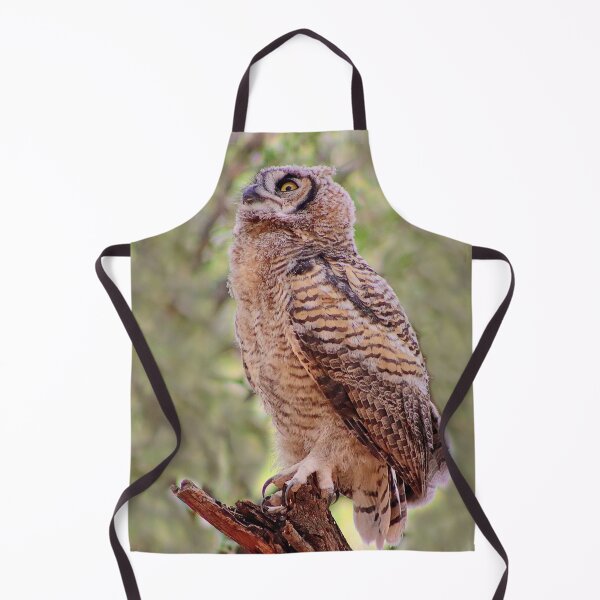 Item preview, Lovely Baby Great Horned Owl designed and sold by simonjayphotos.