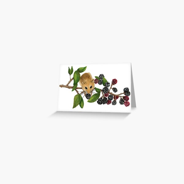 Naughty Hazel Dormouse Greeting Card