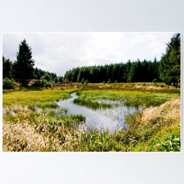 Item preview, Pond designed and sold by JamesTH.