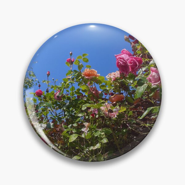 Item preview, Colourful natural climbing rose bushes  designed and sold by Ribster13.