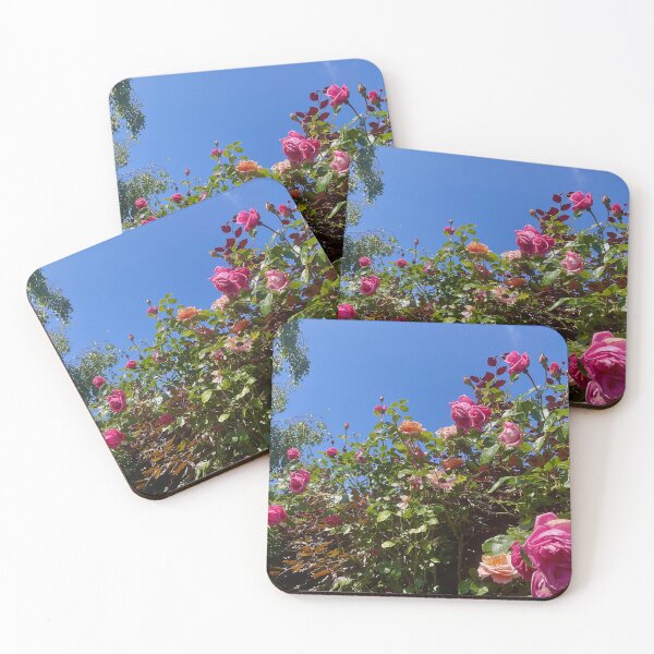 Item preview, Colourful natural climbing rose bushes  designed and sold by Ribster13.