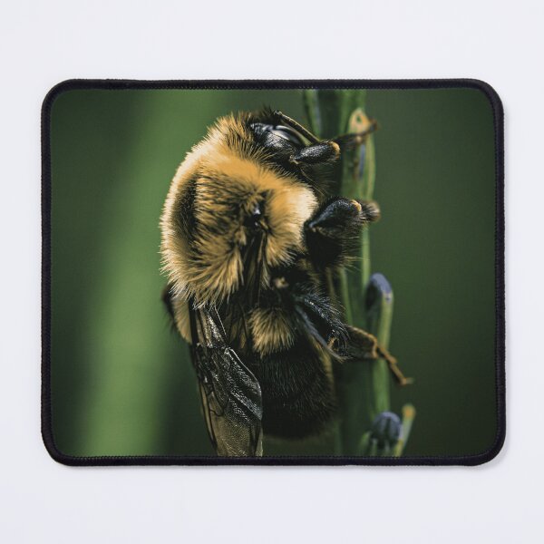 Item preview, Nature Lover Gardener Pollinator Insect designed and sold by GeneVievEOart.