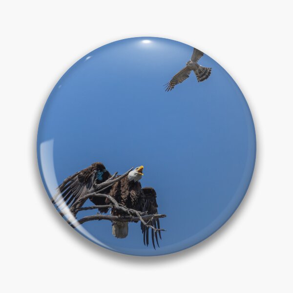 Item preview, Bald Eagle vs. Cooper's Hawk designed and sold by PsychoAlien.com.