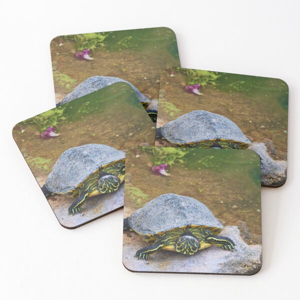 Item preview, Turtle by the Pond designed and sold by Phakade's Photos.