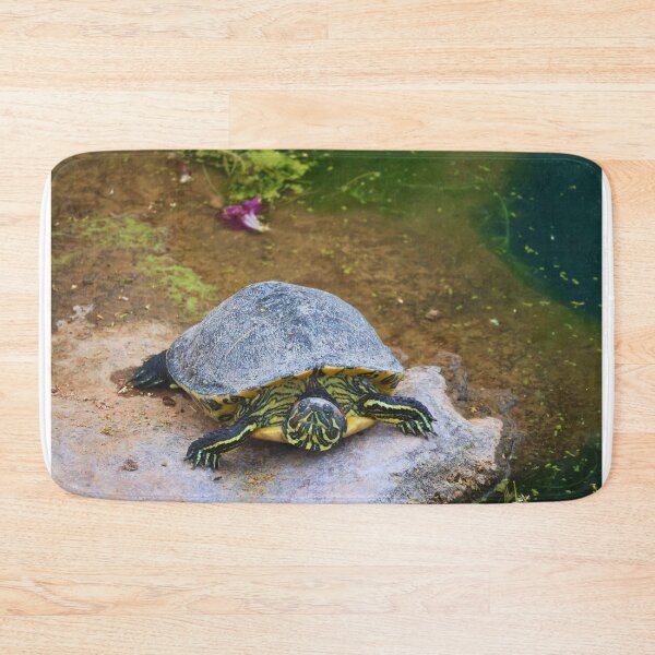 Item preview, Turtle by the Pond designed and sold by Phakade's Photos.
