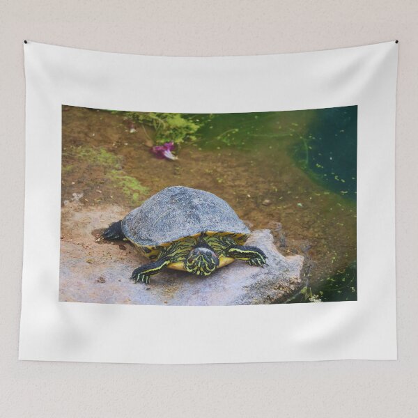 Item preview, Turtle by the Pond designed and sold by Phakade's Photos.