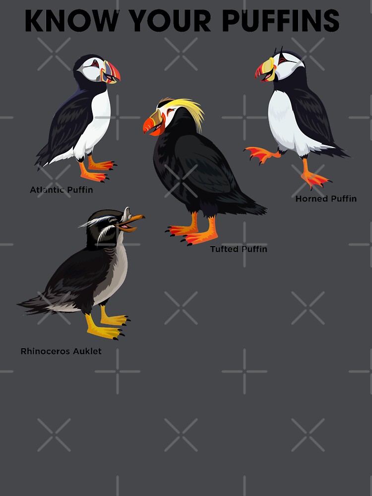 Know Your Puffins  Smithsonian Ocean