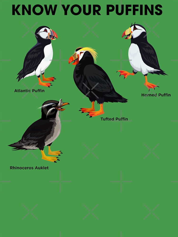 Know Your Puffins  Smithsonian Ocean