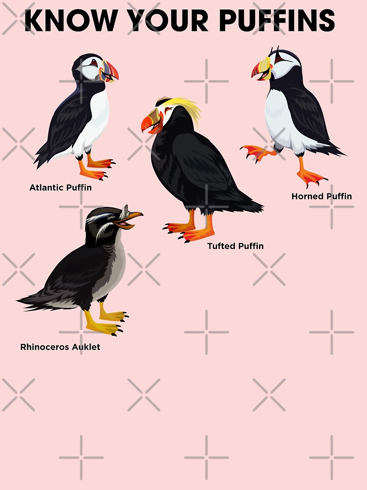 Know Your Puffins  Smithsonian Ocean